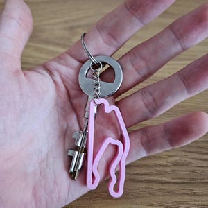 May include: A pink plastic keychain shaped like a racetrack, attached to a silver key ring and two keys.