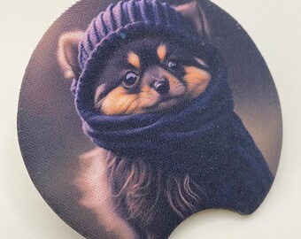 Dog w/knit beanie