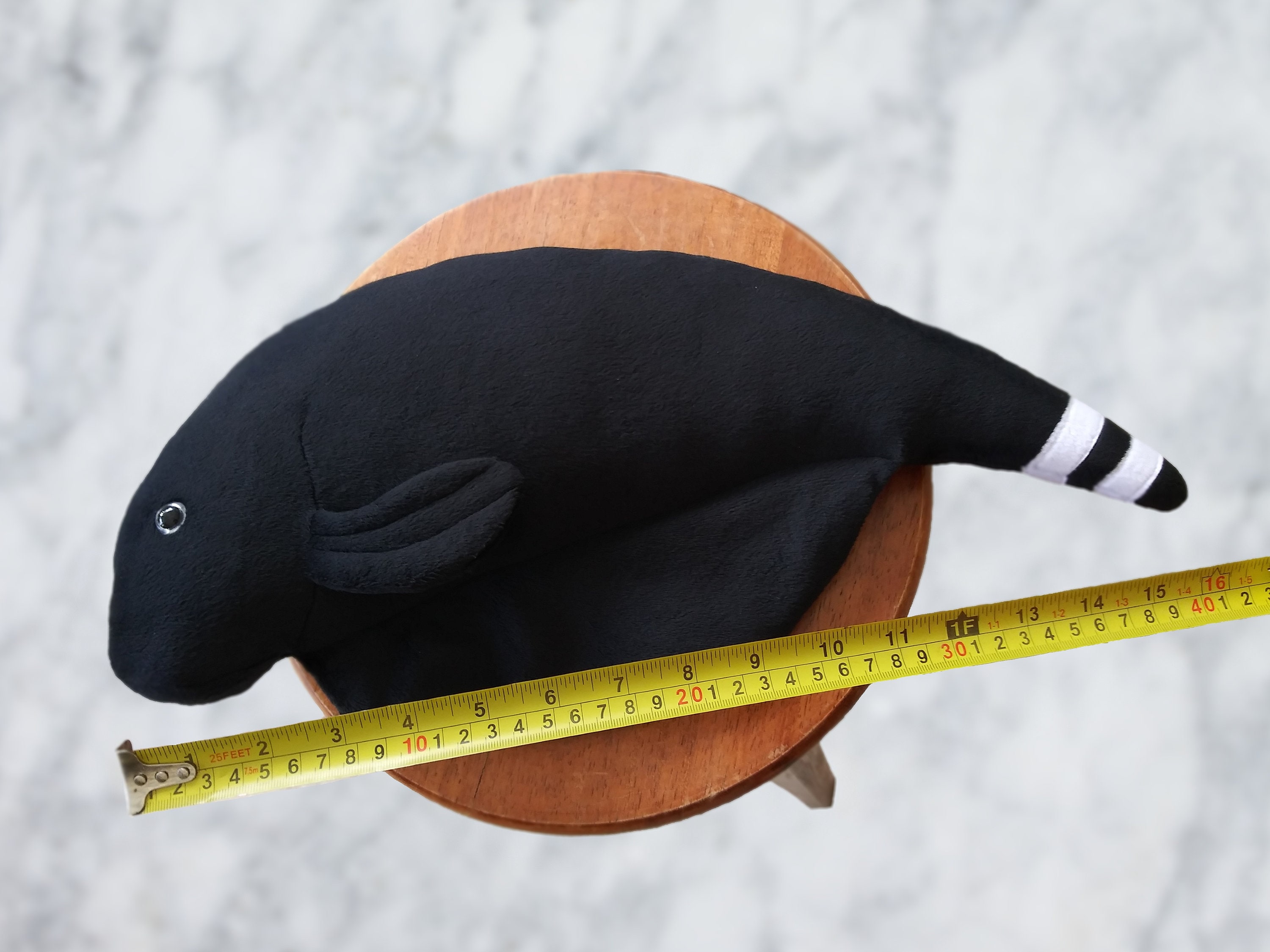 black-ghost-fish