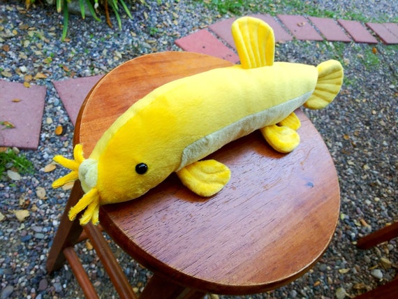 Golden dojo loach for best sale sale
