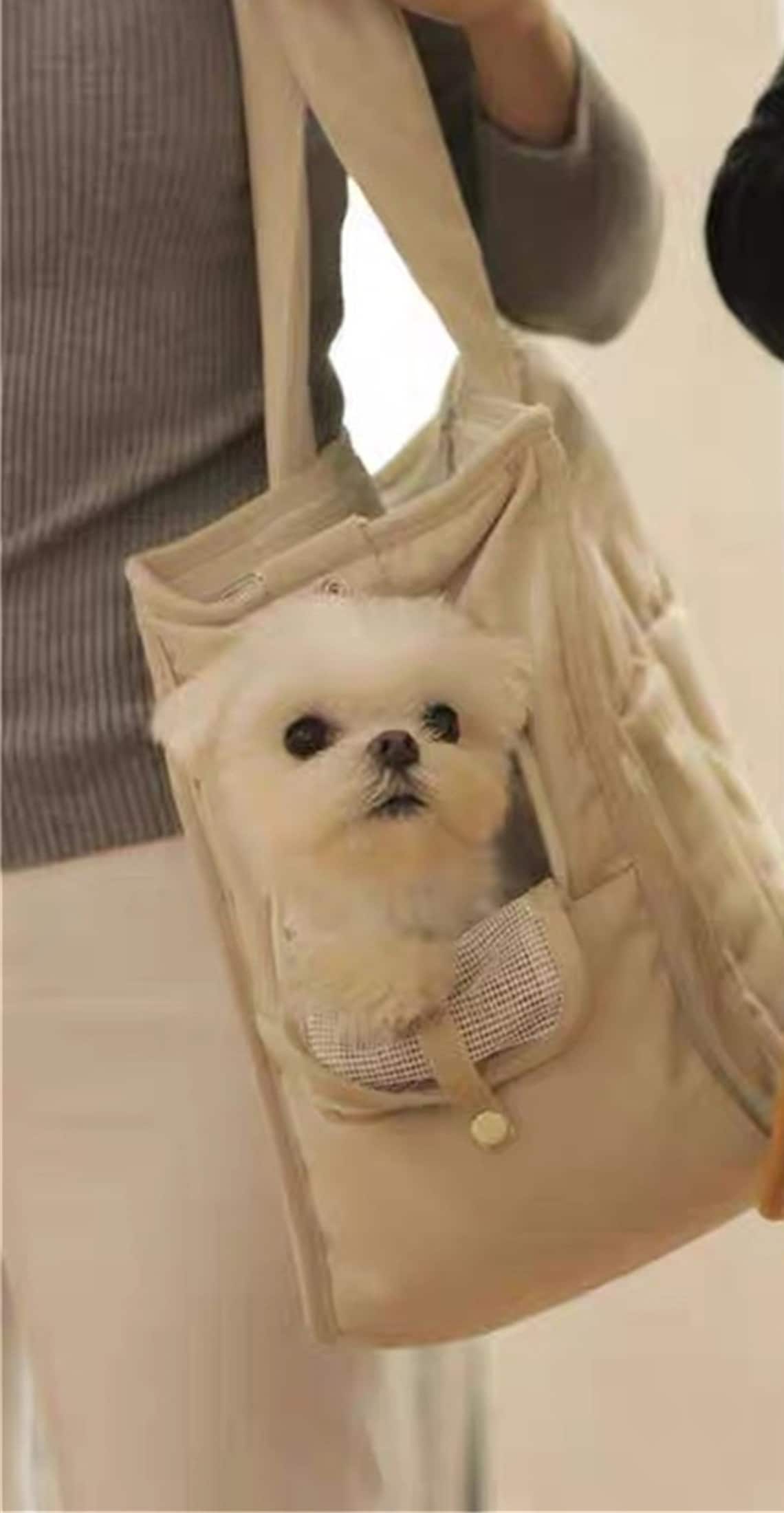 Pet Handbag puppy carrier Small Dog bag Cat Lover Gift dog Etsy