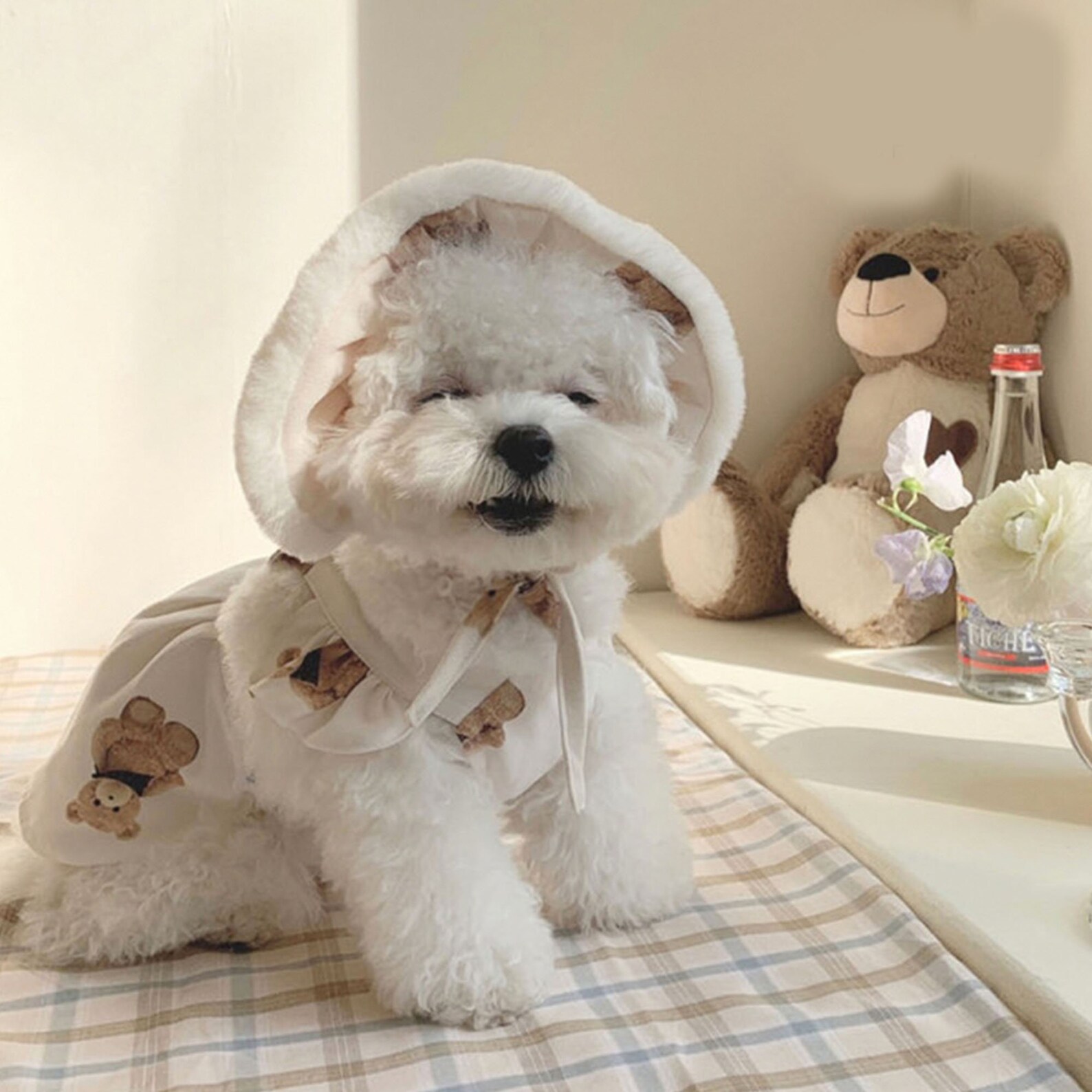 Korean fashion pet clothes cute bear suspender skirt small Etsy