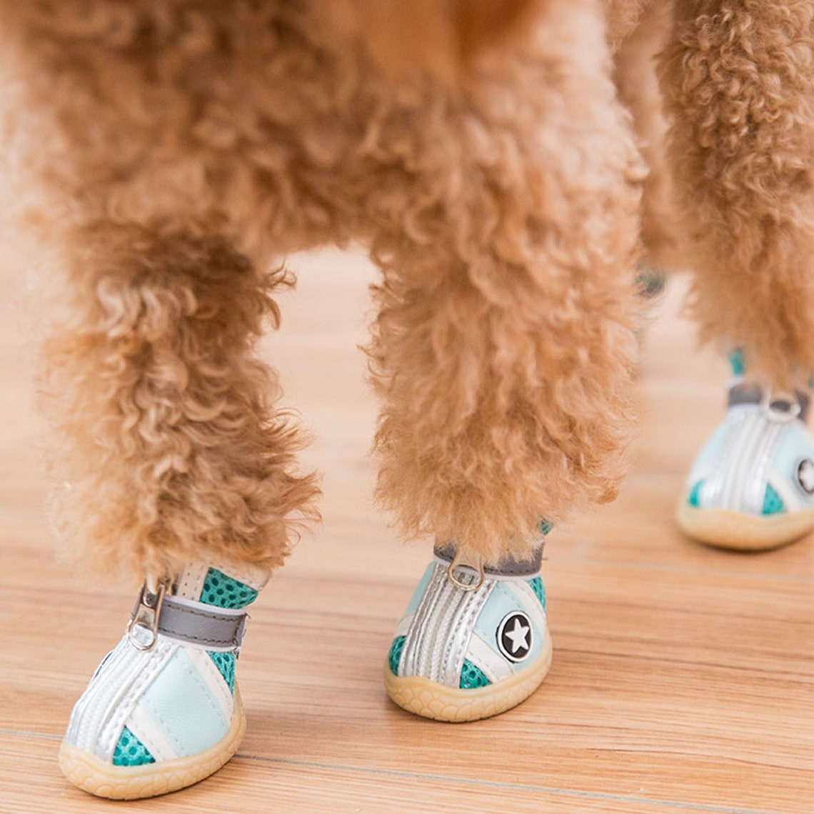 Soft sole pet shoe set Teddy shoe set Custom Pet Shoes pet Etsy