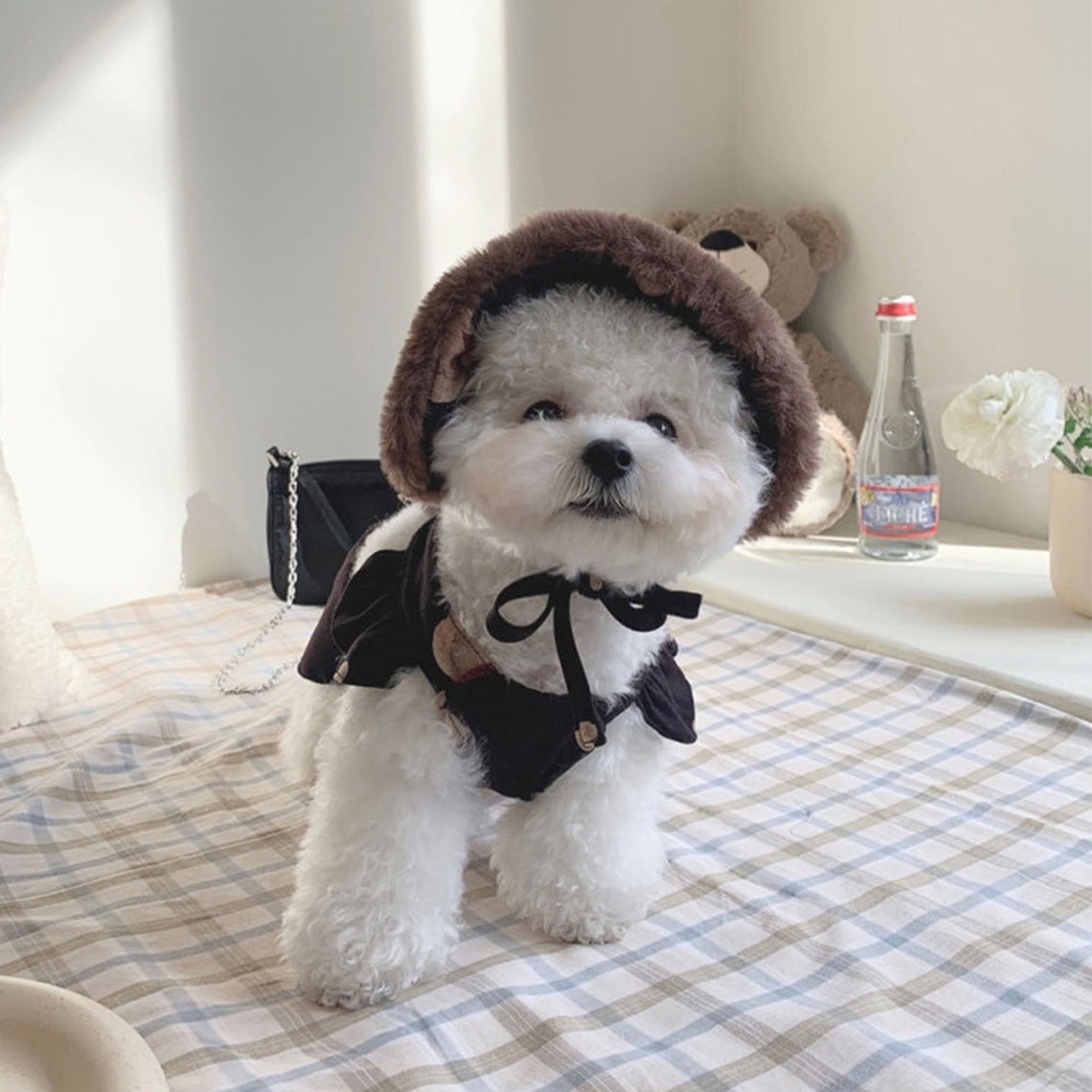 Korean fashion pet clothes cute bear suspender skirt small Etsy