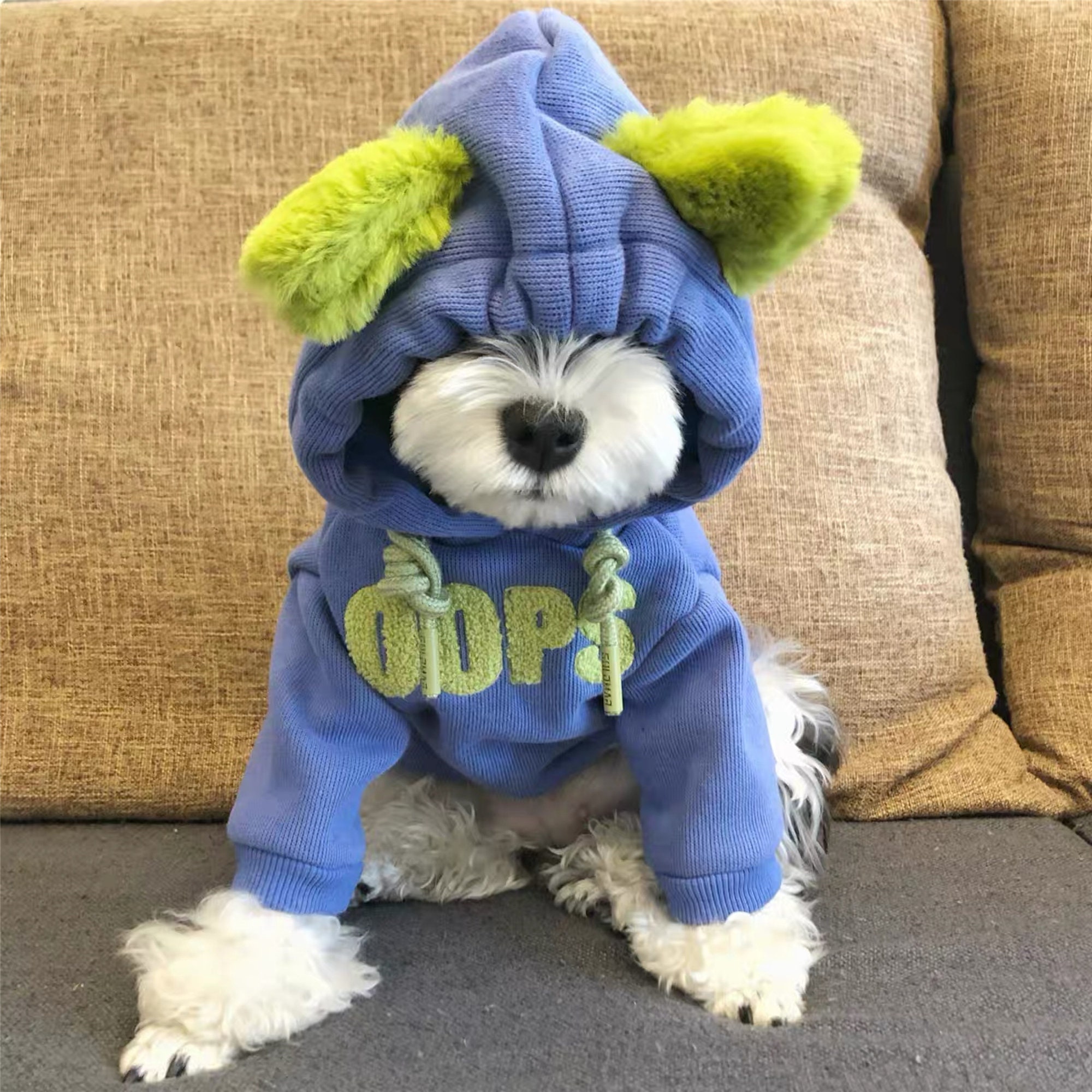 Blauer Hund HoodiePullover Hund HoodieReißverschluss Etsy