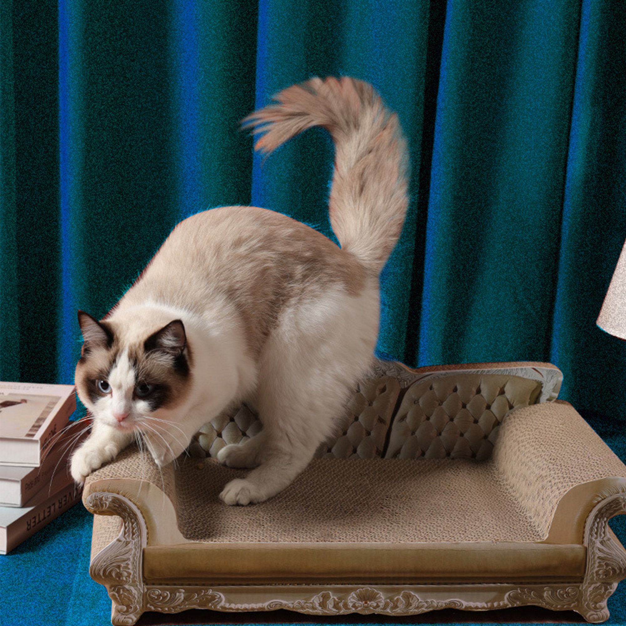 Rich chair cat scratch board creative sofa cat toy sleeping Etsy