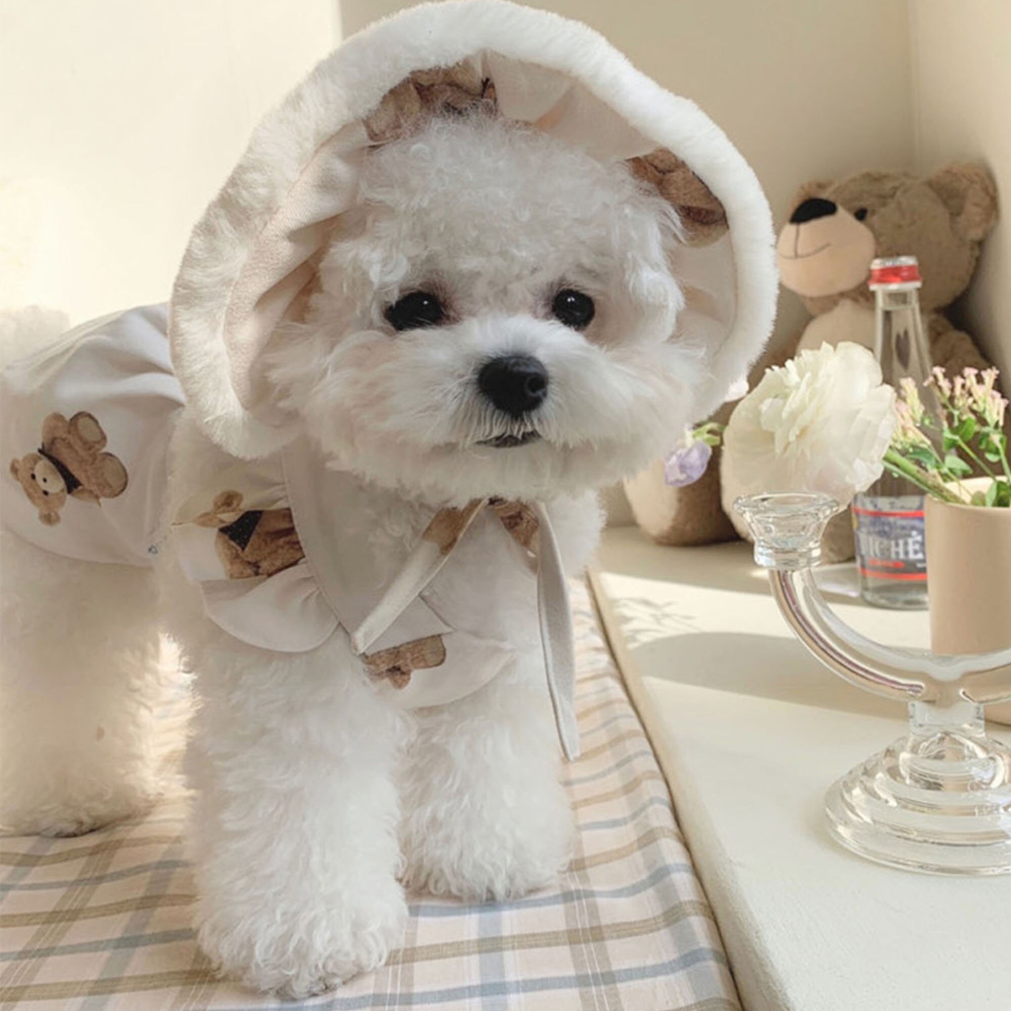 Korean fashion pet clothes cute bear suspender skirt small Etsy