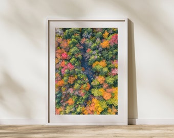 May include: An aerial photograph of a forest in autumn. The trees are a mix of green, yellow, orange, and red. A small stream runs through the center of the image.