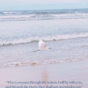 Könnte beinhalten: Eine ruhige Strandszene mit einem weißen Vogel im Flug über den Wellen des Ozeans. Das Bild hat eine sanfte, pastellfarbene Farbpalette. Der Text unten lautet: „Wenn du durch die Wasser gehst, bin ich bei dir; und durch die Flüsse sollen sie dich nicht überwältigen.“ Jesaja 43:2.
