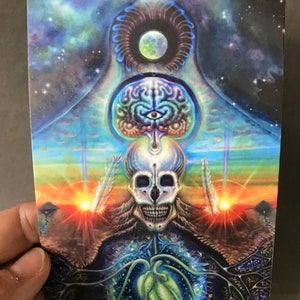 13 Tarot Mort/Renaissance (carte postale)