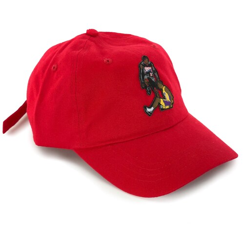 Allen Iverson Steps Over Tyronn Lue Hat Dad Cap Snapback Philadelphia 76ers Los Angeles Lakers Vintage NBA Jersey 2001 NBA Finals