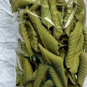 200g Guava Leaves 100% Organic , Dried Guava Leaves from Ceylon