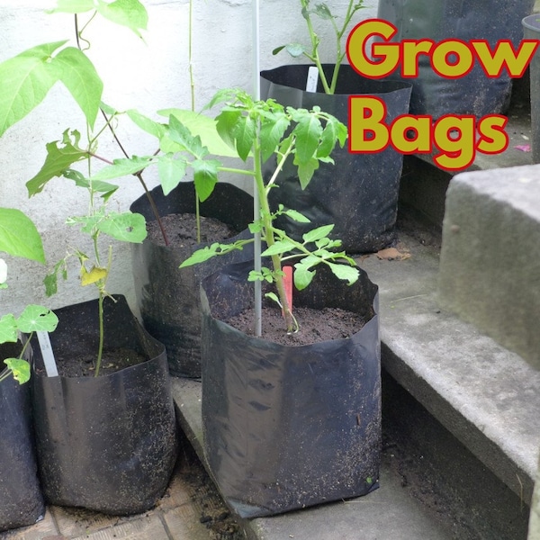 Sacs de culture, sacs en plastique PE, pots de semis avec trous respirants pour fruits légumes fleurs