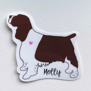 Springer Spaniel Sticker