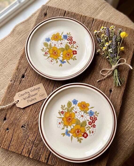 Set Of Two 70’s Casual Elegance Salad Plate Hearthside Stoneware Floral Design, Small Retro Flower Plates,