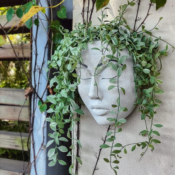 Swing Faces Planter Pot Hanging Head Planter Resin Plant Pot for Indoor  Outdoor Plant Succulent Pots Unique Faces Design 