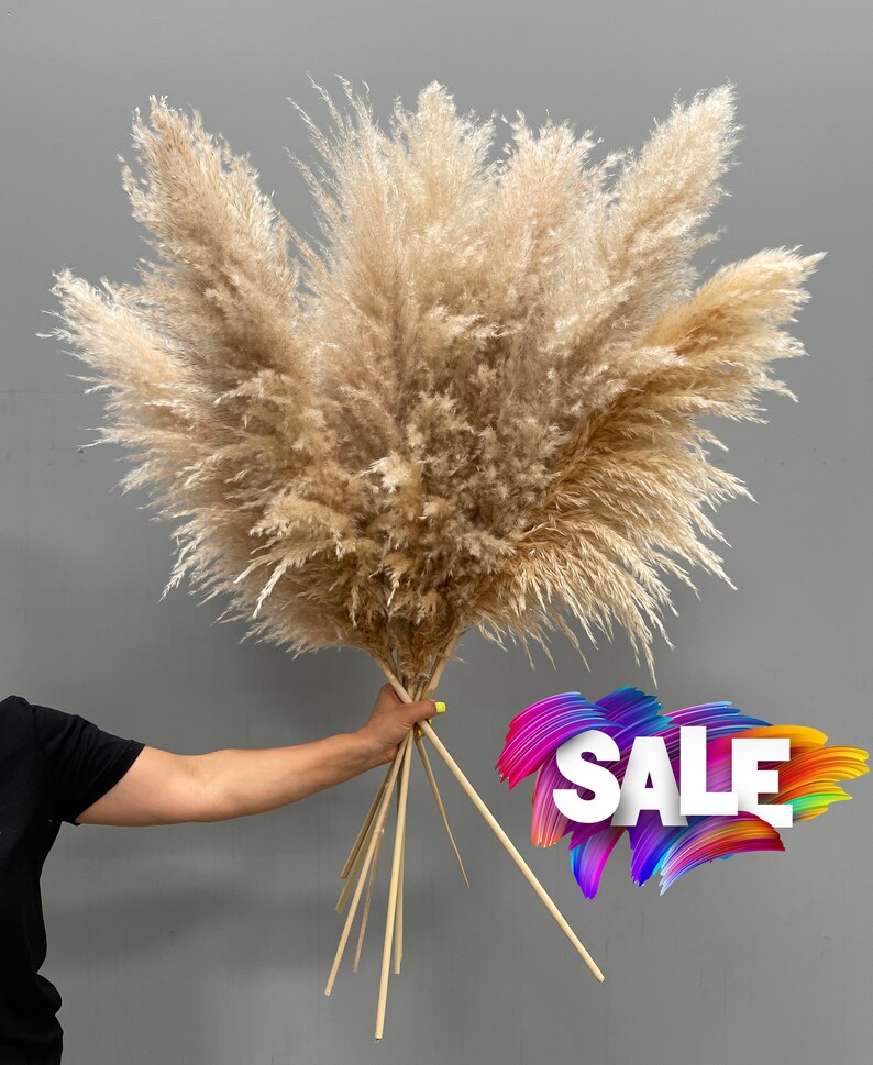 4FT Jumbo Xtra Fluffy Soft Pampas Grass / Natural Beige Fluffy Etsy