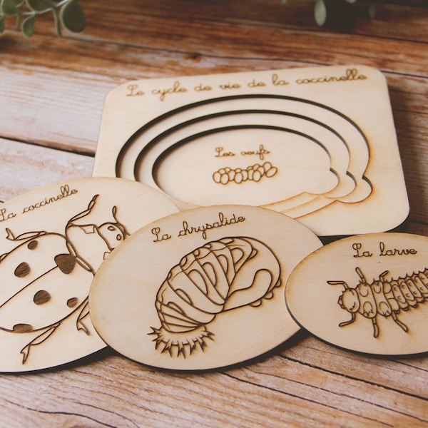 Puzzle en bois inspiration montessori pour apprendre le cycle de vie Coccinelle pour les petits