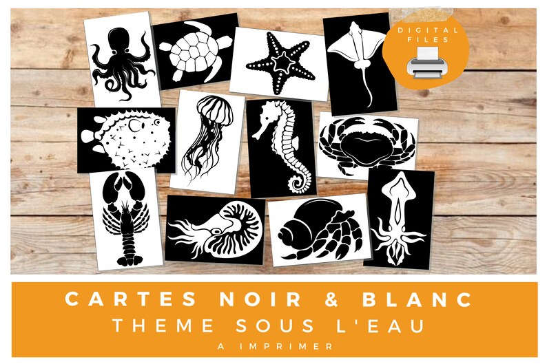 Inspirations Montessori Cartes Noir Et Blanc U00e0 Imprimer Th U00e8me Sous L Eau Pour B U00e9b U00e9 Entrainer Sa Vision Toys Games Toys Kromasol Com