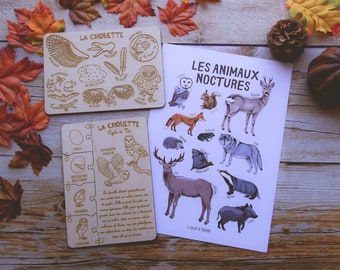 Mini Kit d'apprentissage thème Les animaux nocturnes, pour découvrir la chouette et les animaux noctures