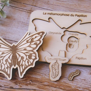 Puzzle en bois éducatif inspiration montessori pour apprendre le cycle de vie du Papillon