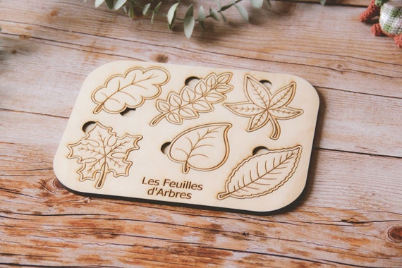 Puzzle en bois éducatif