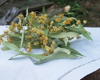 Linden flower tea 30g