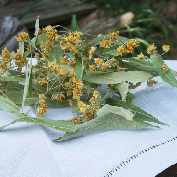 Linden flower tea 30g