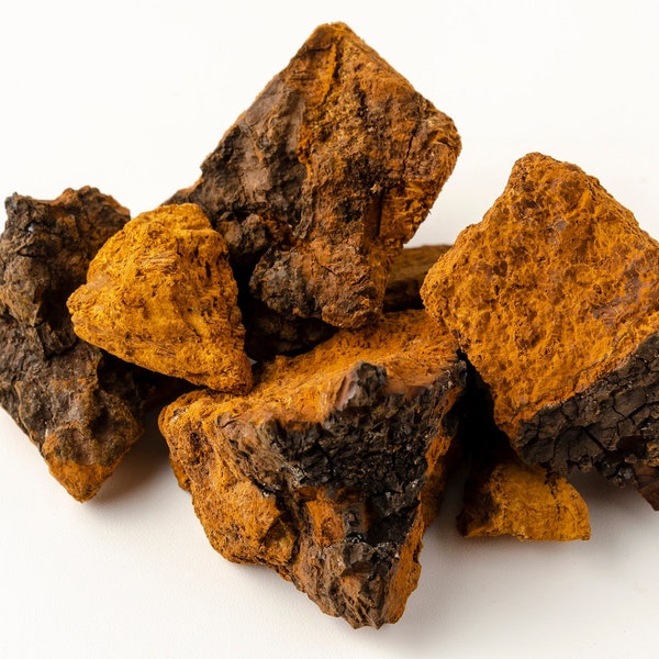 Wilde Chaga-Stücke für Tee, getrocknete rohe Stücke, Chaga-Tee, fertig zum Aufbrühen, handverlesen aus sauberen Birkenwäldern Lettlands