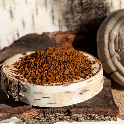 Wild Chaga mushroom Dried (ground), Raw ground Chaga for Tea, Ready to Brew,foraged,hand picked from clean LATVIA birch forests