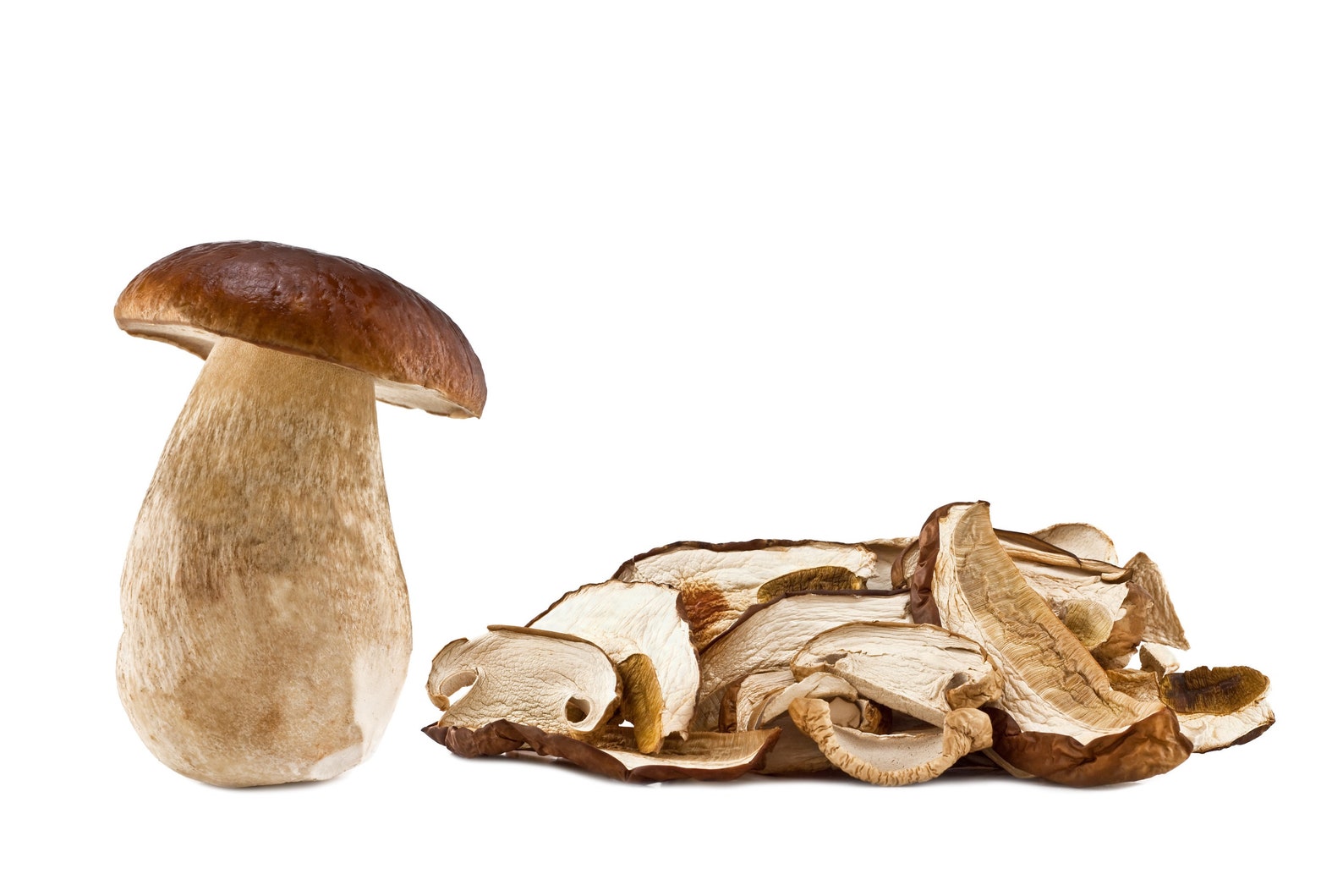 Hongos porcini secos / Boletus Edulis / Silvestres no Etsy