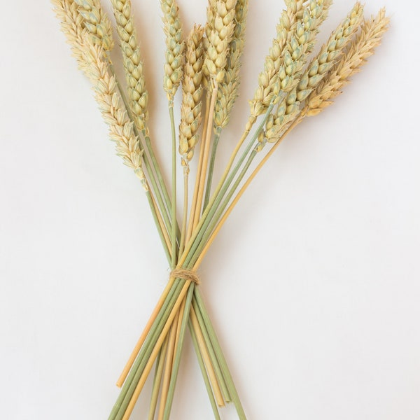 bouquet di grano naturale