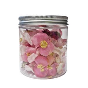 Edible flower Begonia 250ml jar