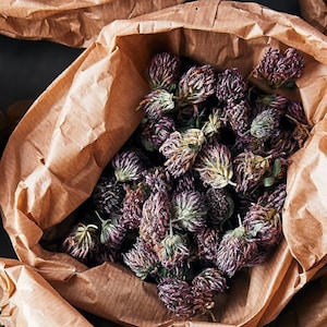 Red clover  tea, red clover blossoms, Wild clover,medical herb