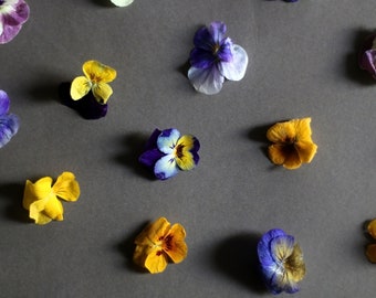 Edible dried Pansies 60-80pcs 2gr, food decorations, The art of the Coctail Garnish, cake toppers,edible dry flower, dried flower