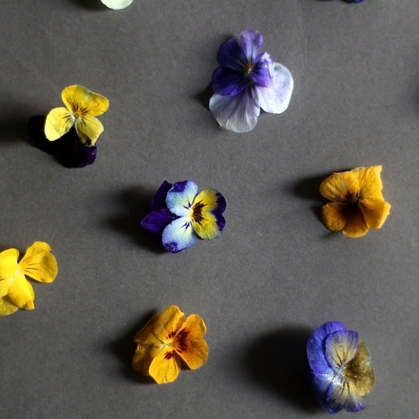 Edible dried Pansies 60-80pcs 2gr, food decorations, The art of the Coctail Garnish, cake toppers,edible dry flower, dried flower