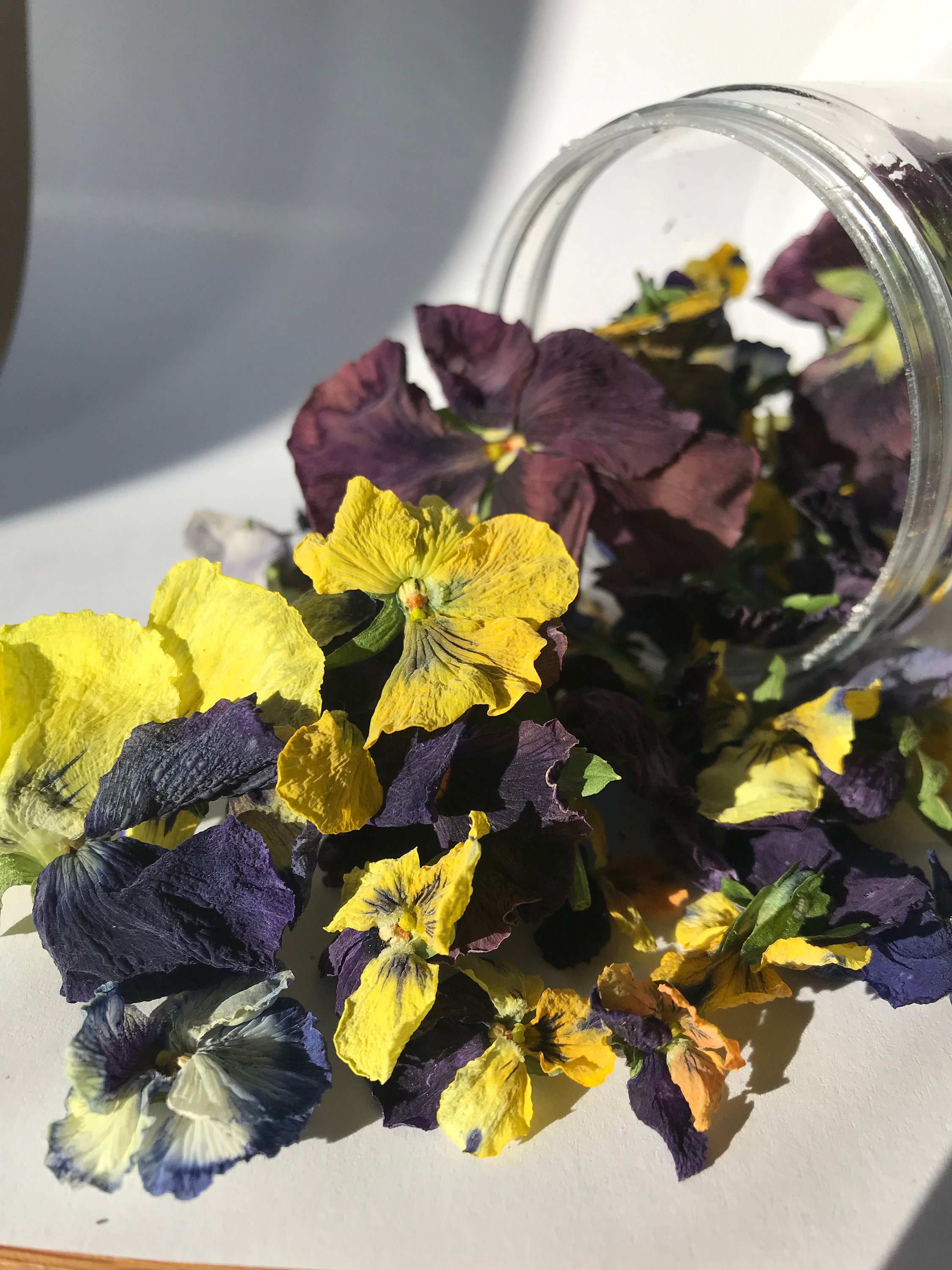 Edible Dried Pansies 6080pcs 2gr Food Decorations the Art Etsy