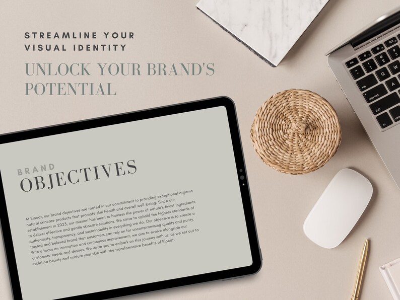 Aesthetic Brand Guidelines Template Customizable Canva - Etsy