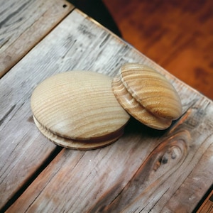 Darning disc