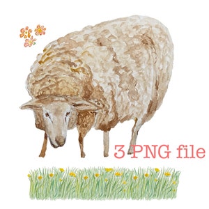 Instant download transparent Sheep, plus Sheep  with flower wreath and grass for variation 3 PNG file