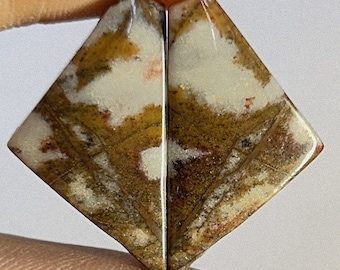 Nice Looking Jasper Pair   - Fancy shaped Jasper Pair  for making jewelry and things. T.I.O - 3339 26x13x5mm. 24 carat