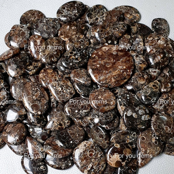 Turritella Agate - Wholesale Flat Back Cabochon - Loose Bulk Turritella Agate Cabs - Natural gemstone - Turritella Fossil for making jewelry