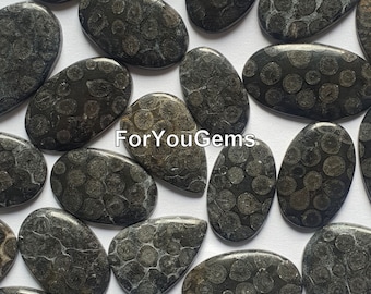 Black Fossil Coral - Wholesale Black Fossil Coral Cabochons - Loose Flat back Cab - Natural Gemstone - bulk crystal sale - gemstone jewelry