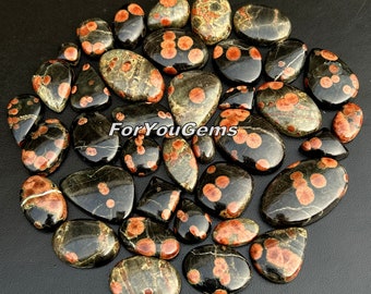 Fossil Obsidian Lot - Wholesale Fossil Obsidian mix shapes lot for making jewellry and things.