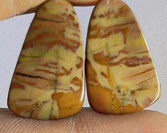 Nice Looking Jasper Pair   - Fancy shaped Jasper Pair  for making jewelry and things. T.I.O - 3340 21x13x3mm. 17 carat