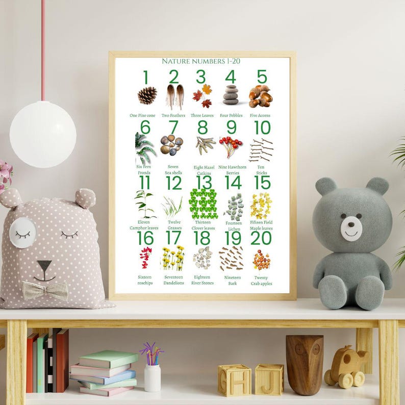 Nature Numbers 1-20 Poster| Montessori Counting | Natural Objects ...