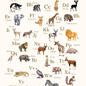 Alfabeto de animales africanos