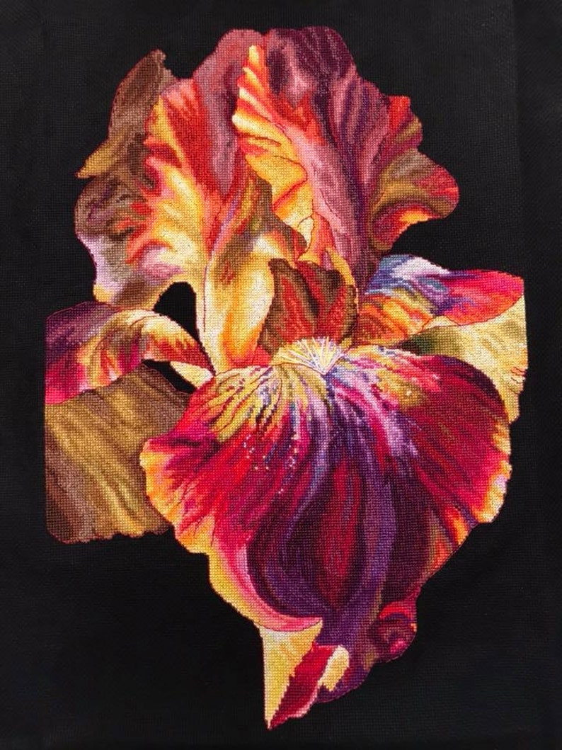 Cross Stitch PDF Instant Download Iris Spring red Watercolor Cross Stitch Flower Cross Stitch fire Cross Stitch Xstitch Bouquet
