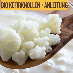 Tibetan Milk Kefir Starter