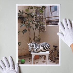 May include: A black and white zebra statue lying on a white table with a green ball in the foreground. The statue is in an outdoor courtyard with plants and a bicycle.